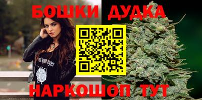 гидра Краснокаменск