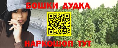 гидра Краснокаменск