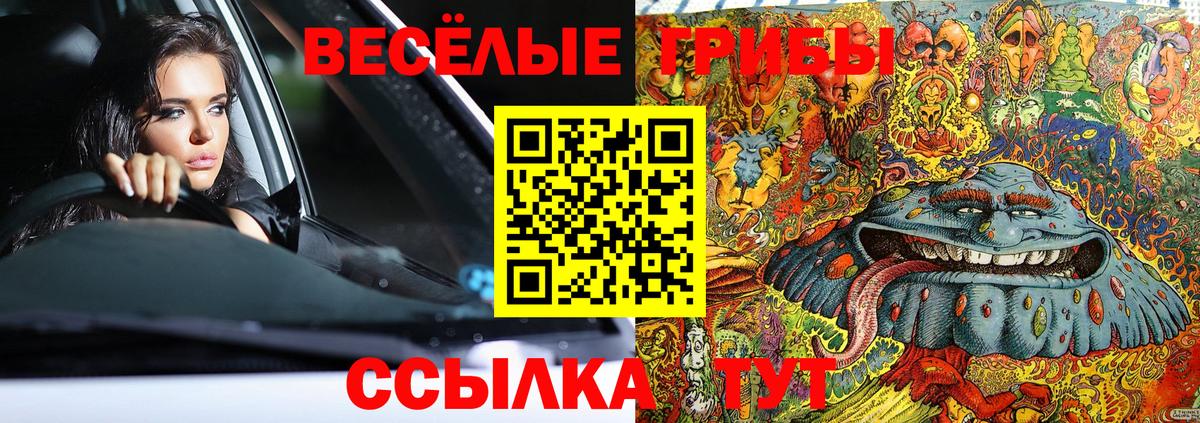 Галлюциногенные грибы GOLDEN TEACHER  Вход с VPN  Карачаевск 