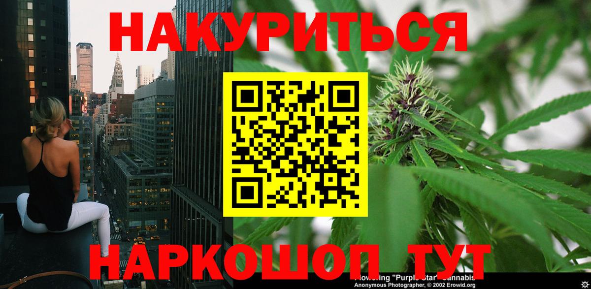 Канабис OG Kush Карачаевск